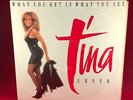 TINA TURNER What You Get Is What You See 1987 UK double 12