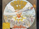 GREEN DAY DOOKIE PICTURE DISC VINYL LP  NEW clear sleeve.