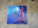 Cathy Dennis ?– Into The Skyline UK Vinyl LP Record