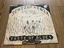 TASTE OF BLUES schizophrenia  SWEDISH PRIVATE PSYCH PROG GARAGE  LP