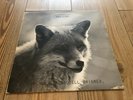 RAVJUNK uppsala stadshotell brinner SWEDISH PROG KRAUT PUNK PRIVATE RÄVJUNK LP