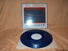 Langspielplatten Joy Division 