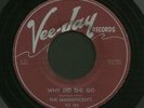 Doo Wop R&B 45 MAGNIFICENTS Why Did She Go VEE-JAY hear
