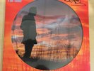 Richard Hawley Further Picture Disc Vinyl Signed Ltd Edition NEW