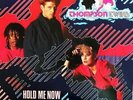 Thompson Twins Hold Me Now 12