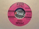 CHATTAHOOCHEE 45 RECORD/JOHNNY C & THE BLAZE'S/EBONY/INFERNO/HALLOWEEN FUZZ/VG+