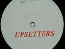 1975 Roots Reggae Dub - LEE PERRY & THE UPSETTERS - BLANK DLP 6001