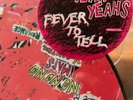YEAH YEAH YEAHS FEVER TO TELL PICTURE DISC VINYL LP VG+/VG+ New