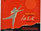 THE SHANGHAI DANCE SCHOOL - Highlights From 