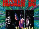 New Music Husker Du 