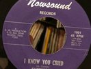 SHERWOODS 45 I Know You Cried MONSTER TEXAS GARAGE PUNKER on NOWSOUND
