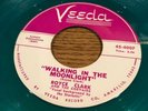 ROYCE CLARK & CORVAIRS 45 Walking In The Moonlight TEXAS ROCKABILLY on VEEDA