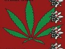 Evolution In One Take Vol.2 [Vinyl] Brutal Truth