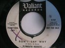 Plymouth Rockers - Don't Say Why / Walk A Lonely Mile - 45 Valiant Promo - 1966