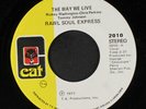 RAW SOUL EXPRESS: The Way We Live / This Thing Called Music 45 (one light mark