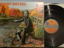 MUDDY WATERS 2 LP CHESS BLUES MASTERS SERIES 50's-60's  BLUES NM VPI NR
