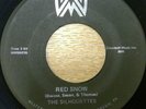 Rare FUNK 45 - THE SILHOUETTES - RED SNOW / OH WHAT A DAY - on WW