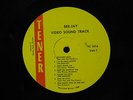 Various Artist Florida garage folk rock psych LP Bee Jay Video Sound Track Tener