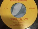 Justi Barreto-Come Baby Come-7