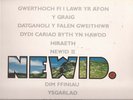 The Alarm - Newid ( Change performed in the Welsh Language LP - EX )