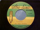 HEAR unreleased surf acetate Road Runners Ultra-Sonic studio Firebird Spider....