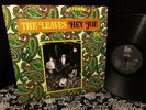 CLEAN  1966 ORIG   THE LEAVES   HEY JOE   HIP SUNSET STRIP FUZZ GARAGE FOLK ROCK