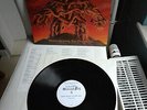 THE LORD WEIRD SLOUGH FEG original lim./num. /500 Vinyl LP Down Among (2001)