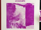Interspecies - Whalescapes - RARE PRIVATE EXPERIMENTAL LP