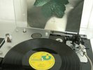 LP EAST OF EDEN New Leaf Harvest