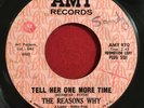 The Reasons Why - Tell Her One More Time / Try And -  Amy - RARE GARAGE 45 HEAR