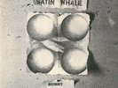 Satin Whale - Desert Places Vinyl LP 2018