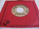 THE MASQUERADERS - HOW BIG IS BIG / PLEASE TAKE ME BACK - BELL