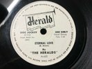 Heralds 78 Eternal Love / Gonna Love You Everyday FLEXI DJ BILLY DAWN VG+++/M-