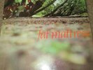 Fat Mattress Lp Rare  Original U.K.Pressing FOLK PYSCH.(JImi Hendrix/Noel Redd
