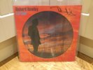 Richard Hawley “Further”Signed Picture Disc Mint