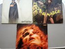 RENATO ZERO LEONI SI NASCE ICARO ANTARTIDE 5 (LP) Vinile ZEROLANDIA 3 ALBUM