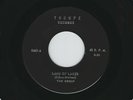 RARE Garage The Group 'Land Of Lakes' & 'Just In Case' Troupe Label 45 M-