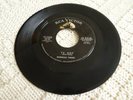 MORGAN TWINS  TV HOP/THIS FEELIN'S BOUND TO BE LOVE RCA 7300