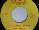 Crossover Soul DEBBIE TAYLOR Never Gonna Let Him Know / Let's Prove Them EX/M-