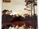 SILVER JEWS - STARLITE WALKER (VINYL LP Berman, David) Used