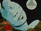 The New Pornographers : In the Morse Code of Brake Lights (2019) VINYL 12