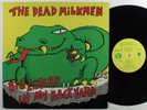 DEAD MILKMEN Big Lizard In My Backyard ENIGMA LP VG++ w/insert