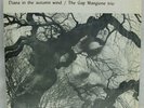 1968 Gap Mangione Trio 
