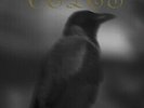 Veles ?-The Black Ravens Flew Again LP  Mayhem Mgla Goatmoon Graveland Nargaroth