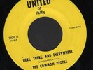 Hear 1968 Common People Michigan Garage Folk Psych 45 Here There and Everywhere