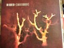 Sol Invictus Trees In Winter LP Neofolk Death In June Current 93 OTWATM