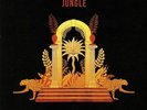 JUNGLE/VARIOUS - Back To Mine - Vinyl (heavyweight vinyl 2xLP)