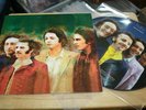 Beatles - Alternate Rarities - Top Ltd Edition Beatles Fan Club USA Picture Disc