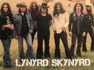 Lynyrd Skynyrd - Icon [RARE BRAND NEW VINYL LP] 