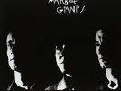 YOUNG MARBLE GIANTS COLOSSAL YOUTH 2007 LP VINYL 33RPM NEW EXPANDED ED